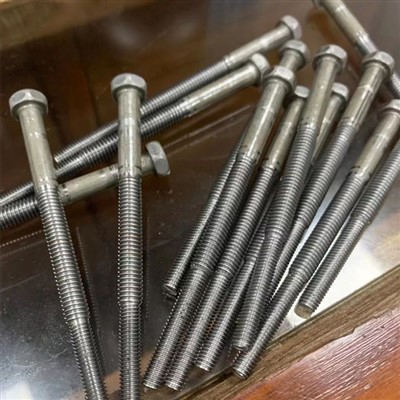 Stainless Steel Hex Head Bolts